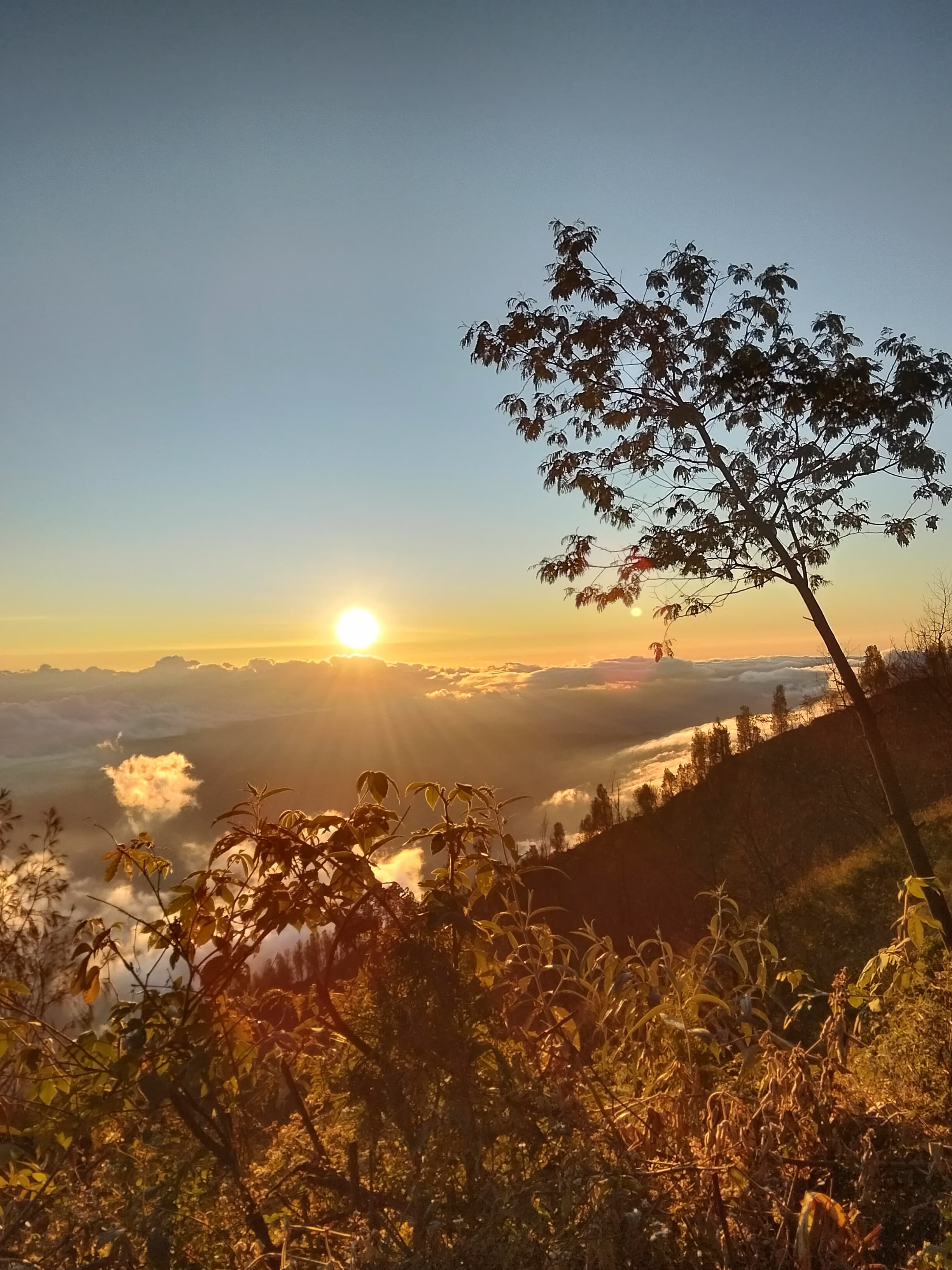 Mount Abang sunrise trekking Bali