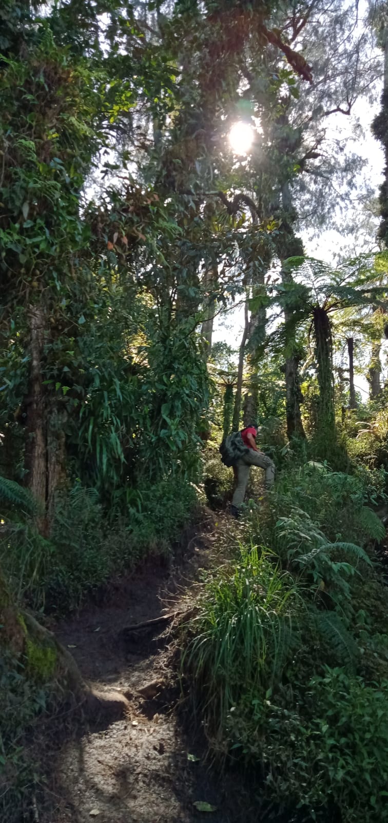 Mount Abang sunrise trekking Bali